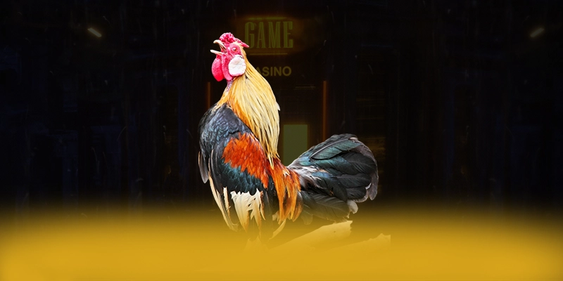 VWIN - Sân chơi tối ưu hiện nay