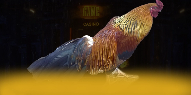 KUWIN – Sảnh game được yêu thích nhất, được cộng đồng đánh giá tích cực.