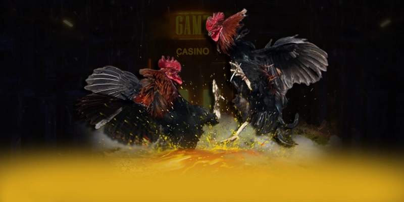 DAGA88 - Sân chơi sở hữu kho game phong phú đang làm mưa làm gió trên thị trường – Khám phá kho trò chơi của DAGA88