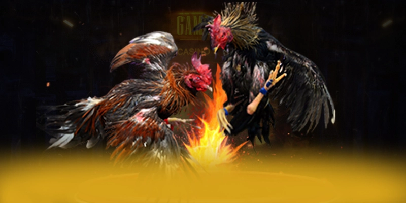 DAGA88 - Nền tảng cá cược đang được quan tâm hàng đầu được yêu thích nhất – Khám phá thế giới giải trí tại DAGA88