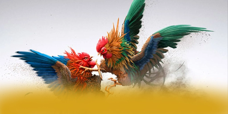 
Tìm hiểu WIN79 - Sảnh game đẳng cấp hiện nay
