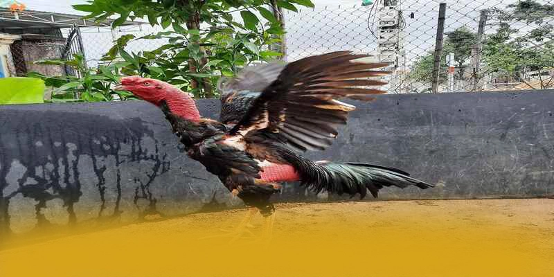 tài xỉu online - Nền tảng cá cược với nhiều tựa game đổi thưởng hấp dẫn hiện nay – Khám phá ngay tài xỉu online