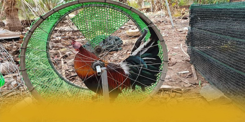 SUNWIN - Trang game đáng trải nghiệm tại Việt Nam