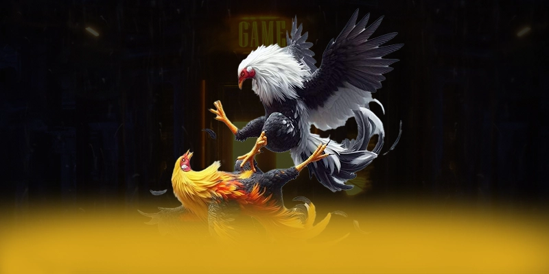 
Cập nhật thông tin về RR99 - Cổng trò chơi chất lượng tại Việt Nam
