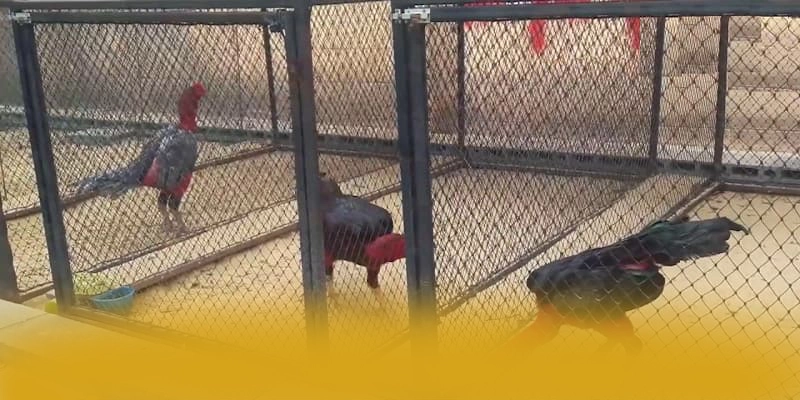 KKWIN - Sảnh game được yêu thích được người chơi tin tưởng – Điểm qua KKWIN