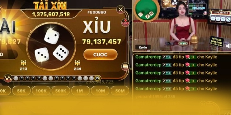 8XBET - Nền tảng cá cược hoạt động hợp pháp chuẩn mực quốc tế 8XBET - Nền tảng cá cược hoạt động hợp pháp chuẩn mực quốc tế