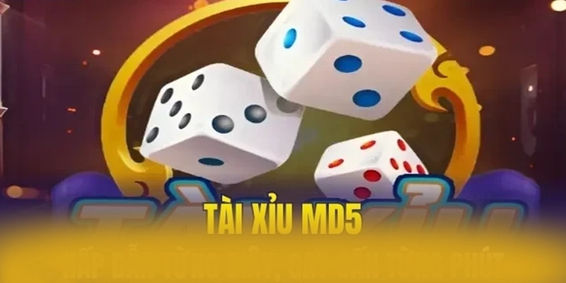 8XBET - Hỗ trợ người chơi tận tâm phản hồi nhanh 8XBET - Hỗ trợ người chơi tận tâm phản hồi nhanh