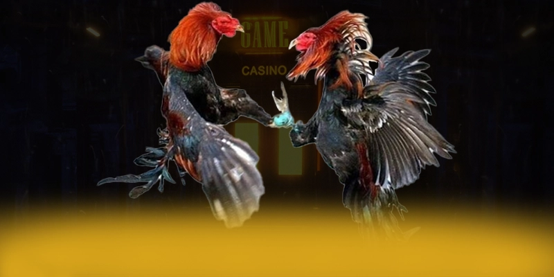 8XBET - Cổng giải trí có danh mục game hấp dẫn hiện nay 8XBET - Cổng giải trí có danh mục game hấp dẫn hiện nay