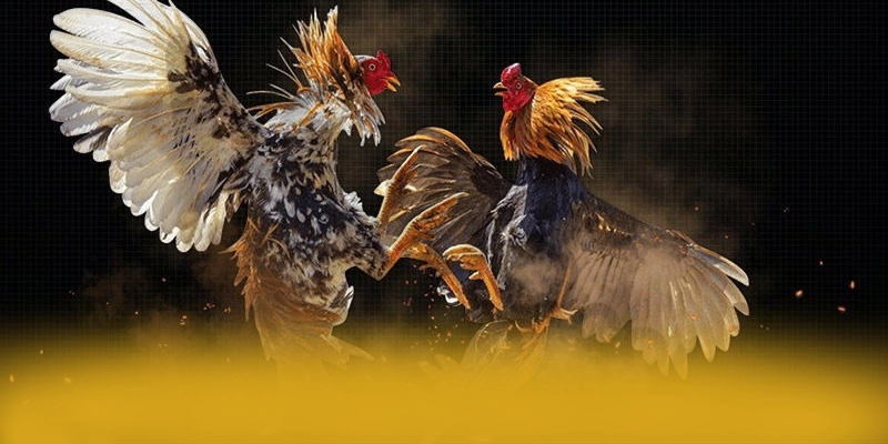 F8BET - Tổng kết — Nền tảng cá cược hàng đầu xứng đáng thử nghiệm F8BET - Tổng kết — Nền tảng cá cược hàng đầu xứng đáng thử nghiệm