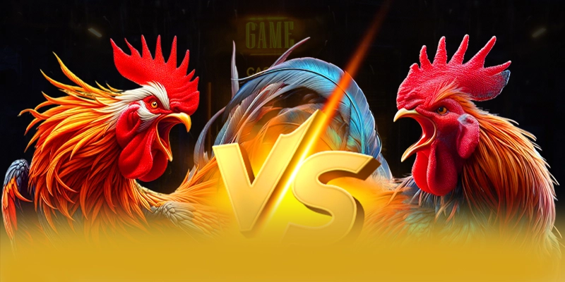 Tìm hiểu 8XBET - Nhà cái trực tuyến được tin dùng tại Việt Nam